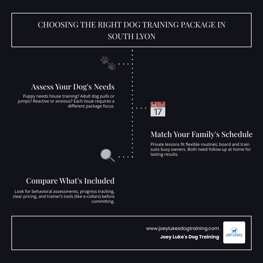 comparison of private lessons and board and train by dog needs, family schedule, and package details infographic comparison of private lessons and board and train by dog needs, family schedule, and package details infographic