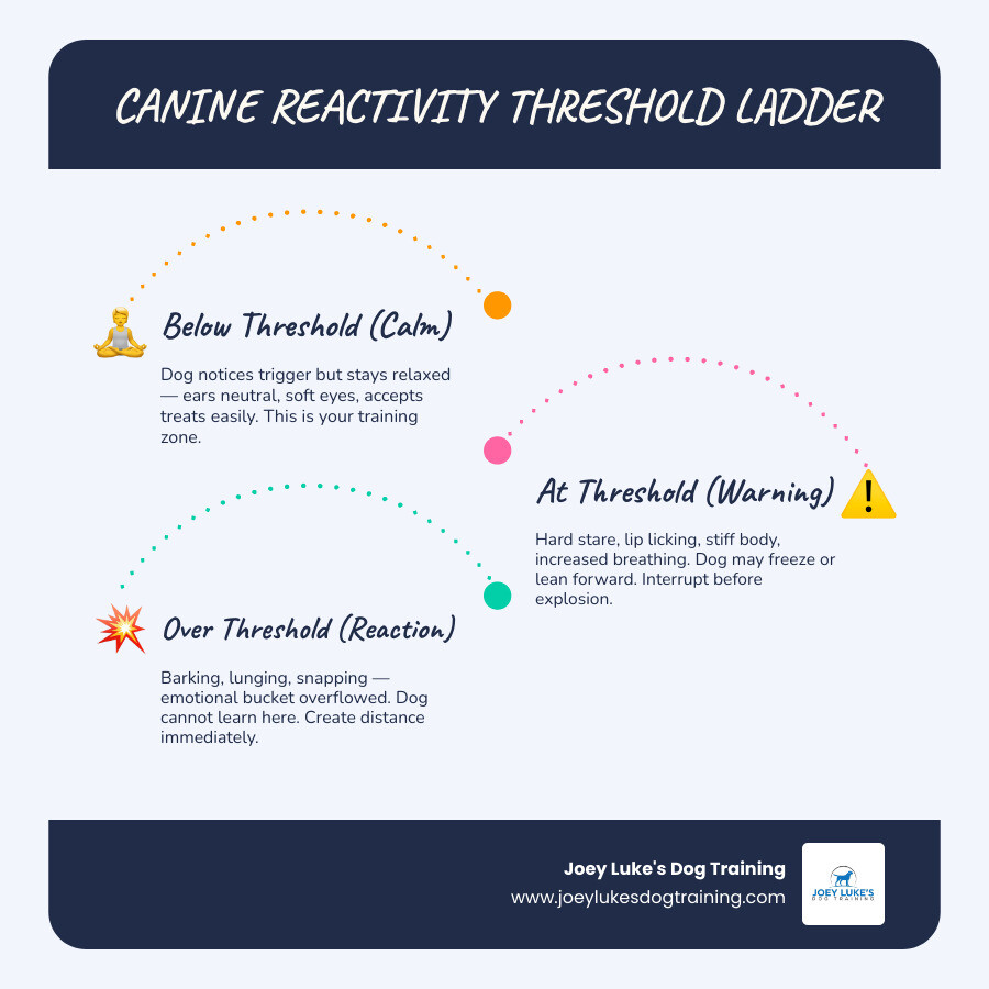 Reactive dog walk plan: notice triggers, create distance, reward attention, practice recall safely infographic Reactive dog walk plan: notice triggers, create distance, reward attention, practice recall safely infographic