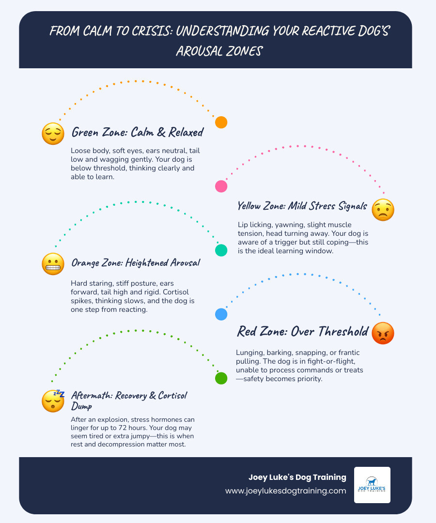progression of canine arousal from calm green zone to red zone threshold infographic progression of canine arousal from calm green zone to red zone threshold infographic