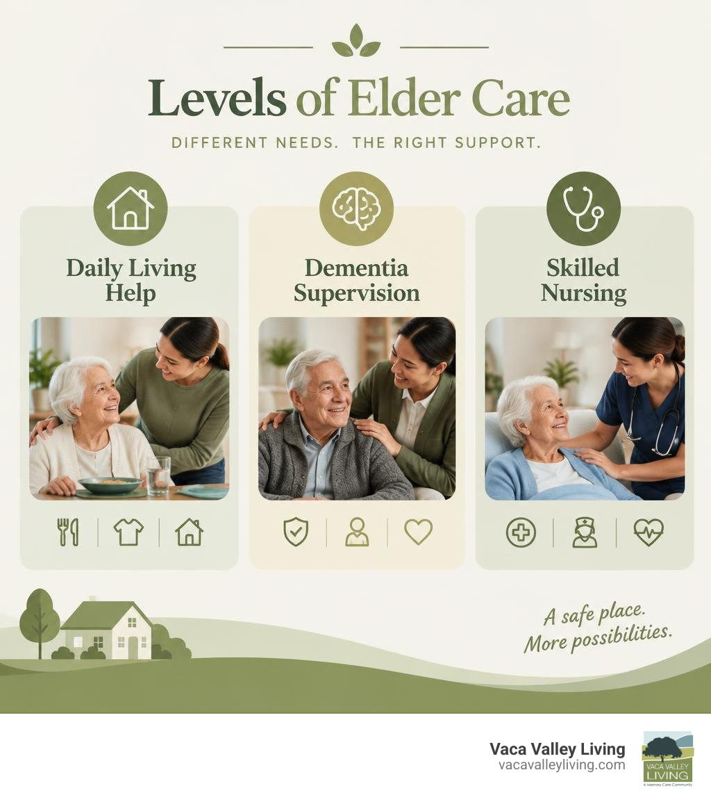 Levels of elder care: daily living help, dementia supervision, and skilled nursing infographic Levels of elder care: daily living help, dementia supervision, and skilled nursing infographic