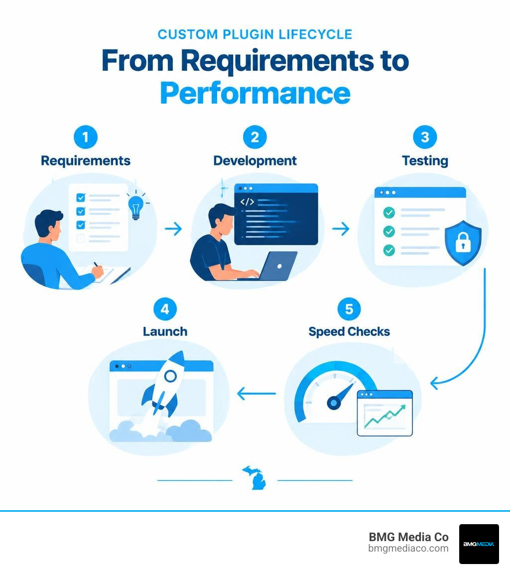 Custom plugin lifecycle from requirements and development to testing, launch, and speed checks infographic