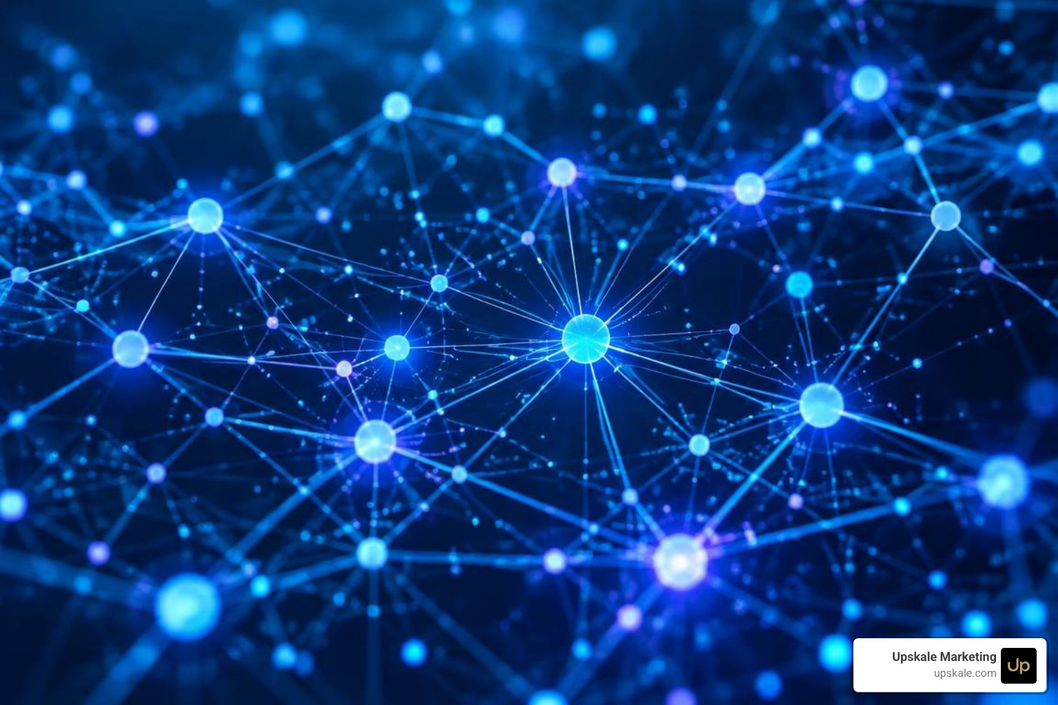 vector embeddings and semantic graph connections