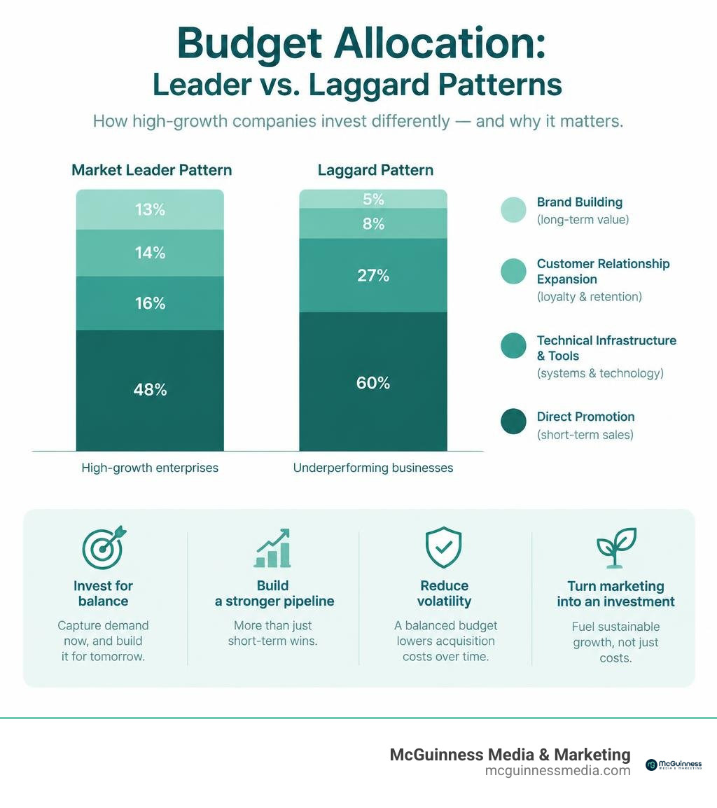 Bar chart comparing leader-pattern budget allocation to laggard patterns showing infrastructure and promotion splits Bar chart comparing leader-pattern budget allocation to laggard patterns showing infrastructure and promotion splits