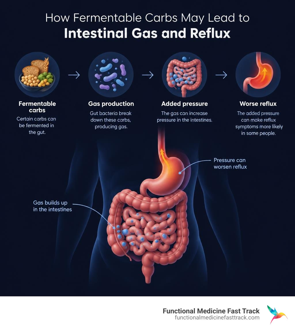 Infographic showing how fermentable carbs may produce intestinal gas and add pressure that can worsen reflux in some people