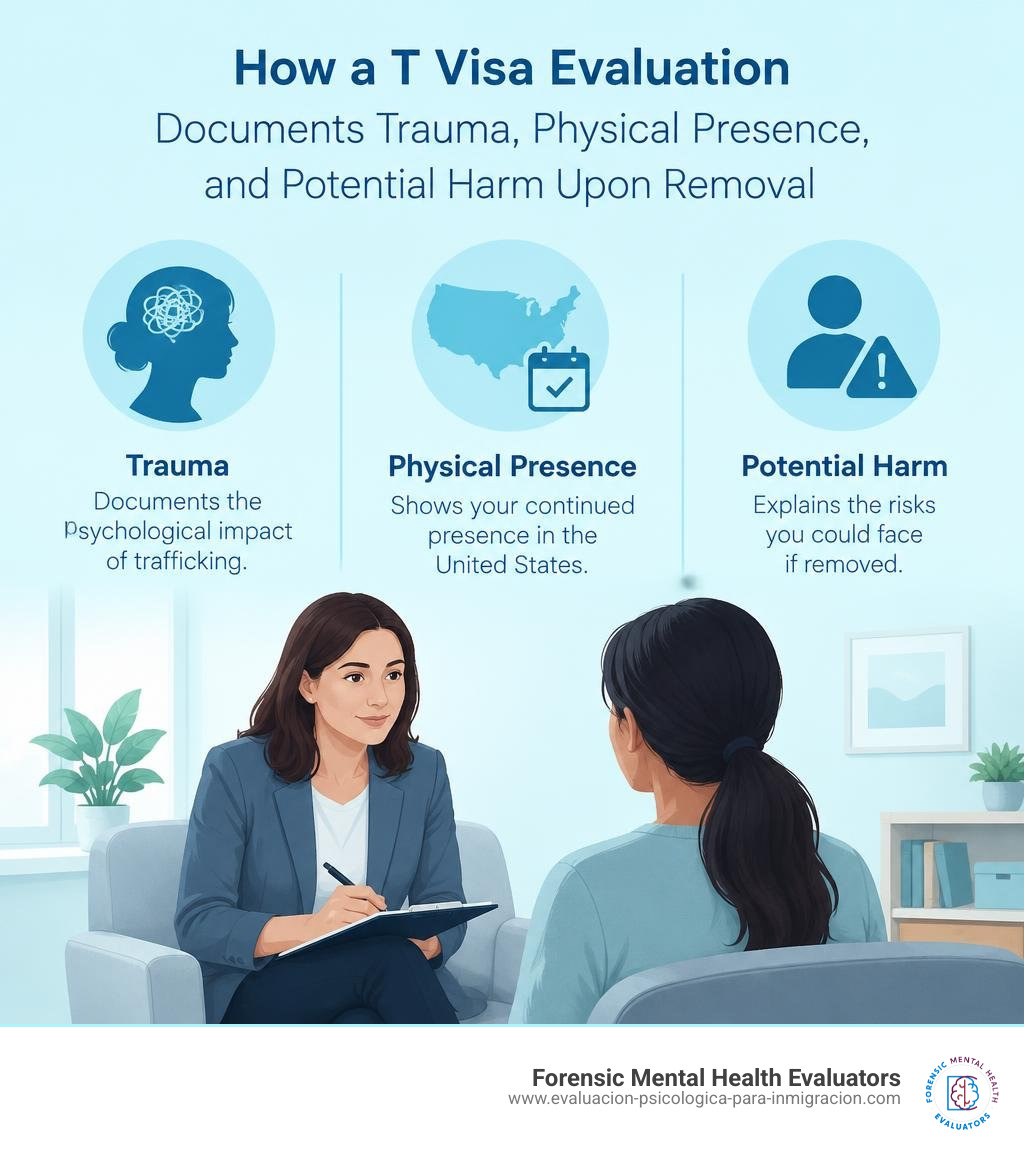 How a T visa evaluation documents trauma, physical presence, and potential harm upon removal infographic How a T visa evaluation documents trauma, physical presence, and potential harm upon removal infographic