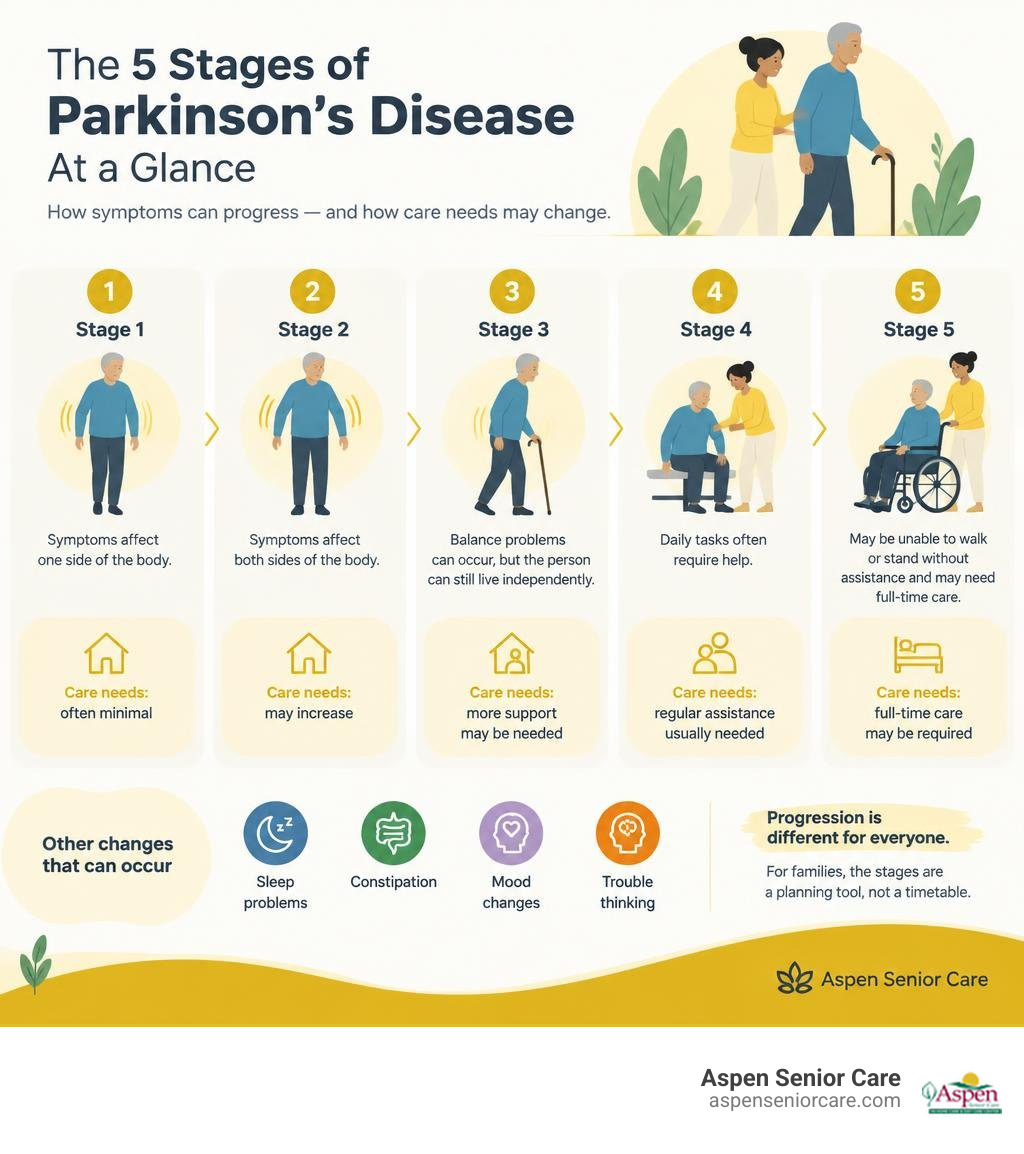 Overview of the five Parkinson's stages and changing care needs infographic