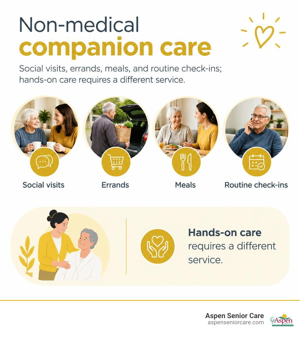 Non-medical companion care: social visits, errands, meals, and routine check-ins; hands-on care requires a different service
