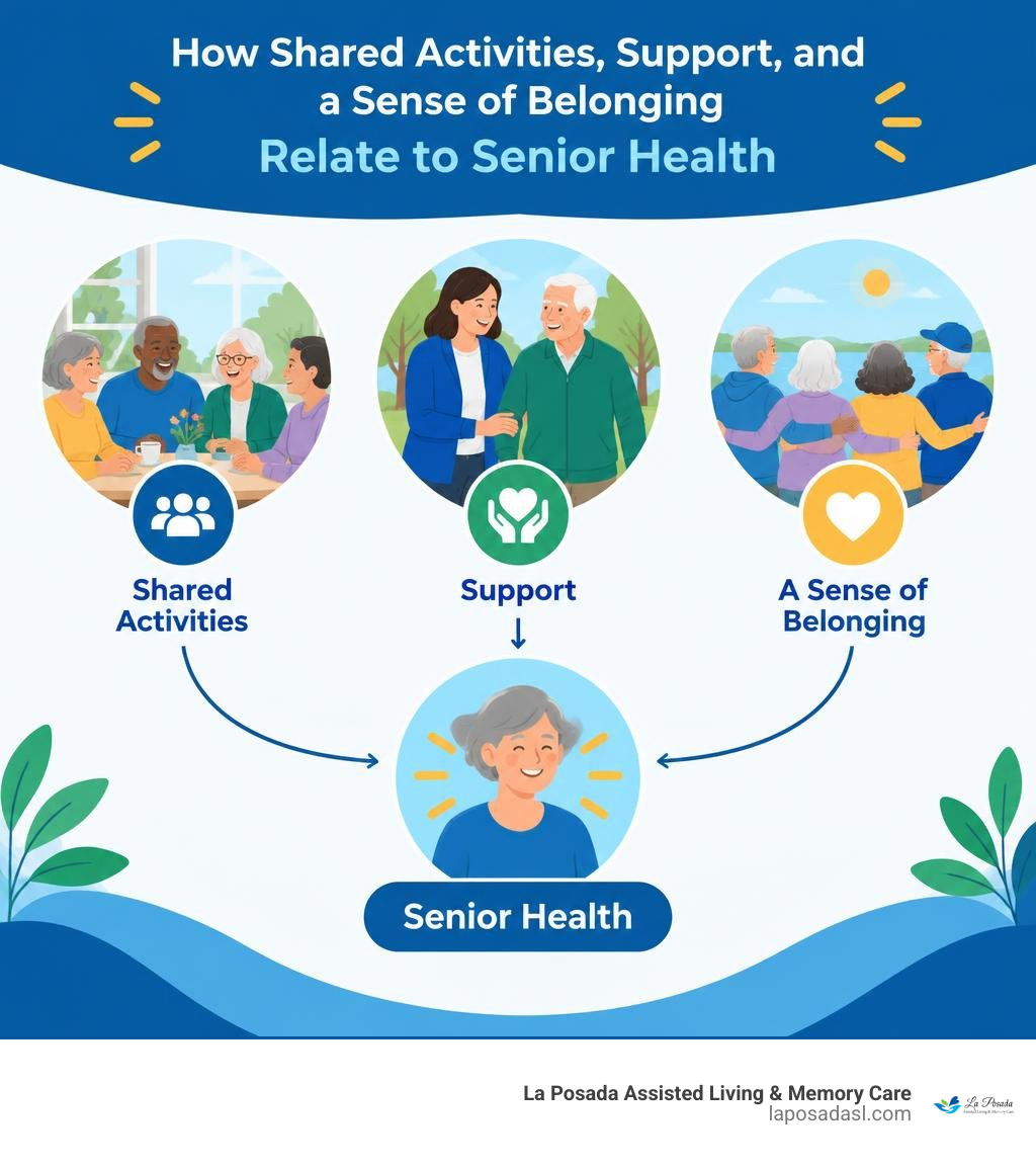 How shared activities, support, and a sense of belonging relate to senior health infographic How shared activities, support, and a sense of belonging relate to senior health infographic