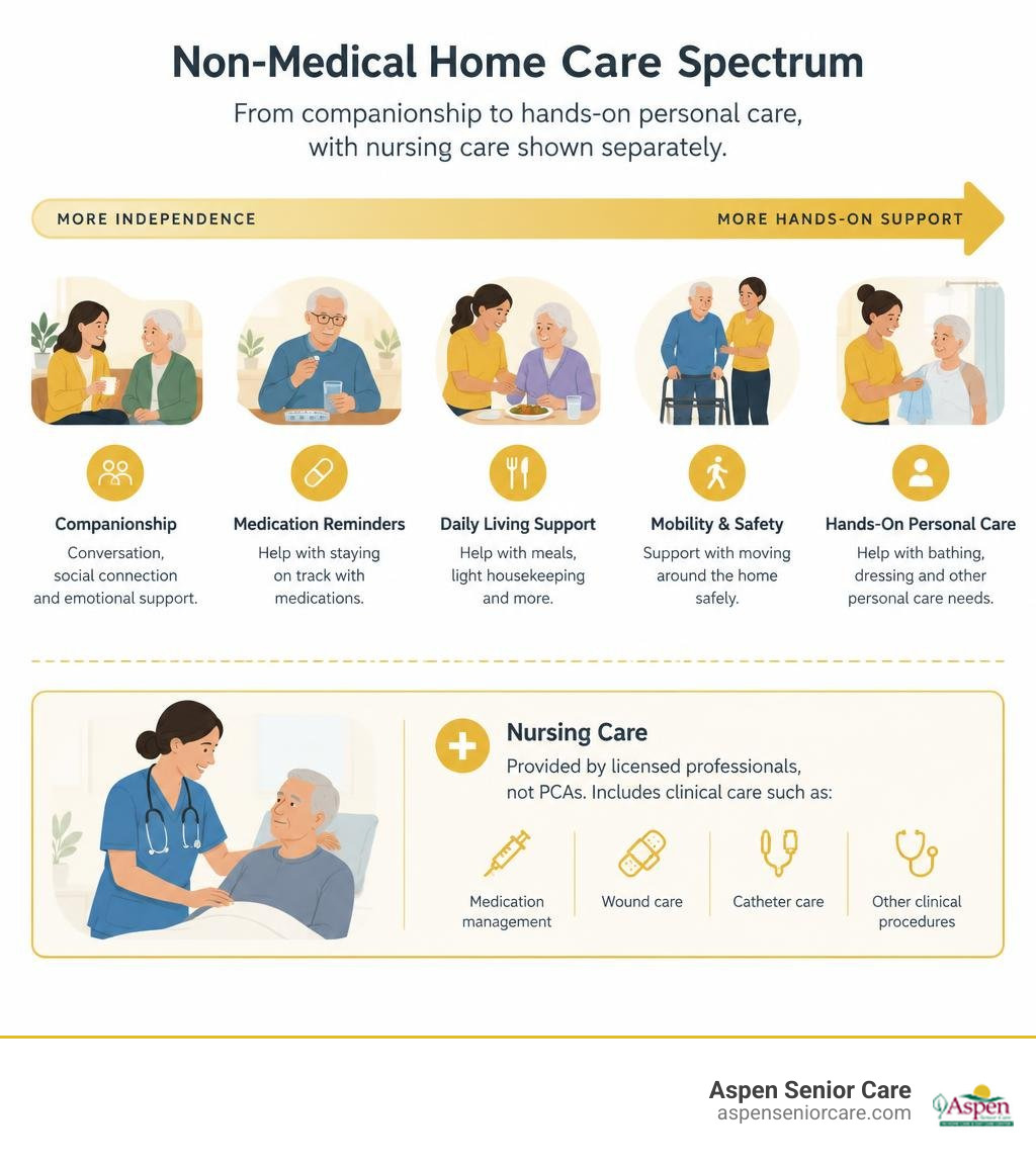 Non-medical home care spectrum from companionship to hands-on personal care, with nursing care shown separately infographic