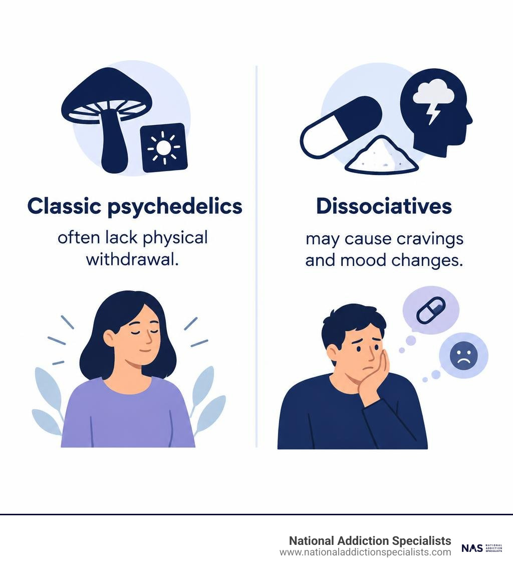 Classic psychedelics often lack physical withdrawal; dissociatives may cause cravings and mood changes infographic Classic psychedelics often lack physical withdrawal; dissociatives may cause cravings and mood changes infographic