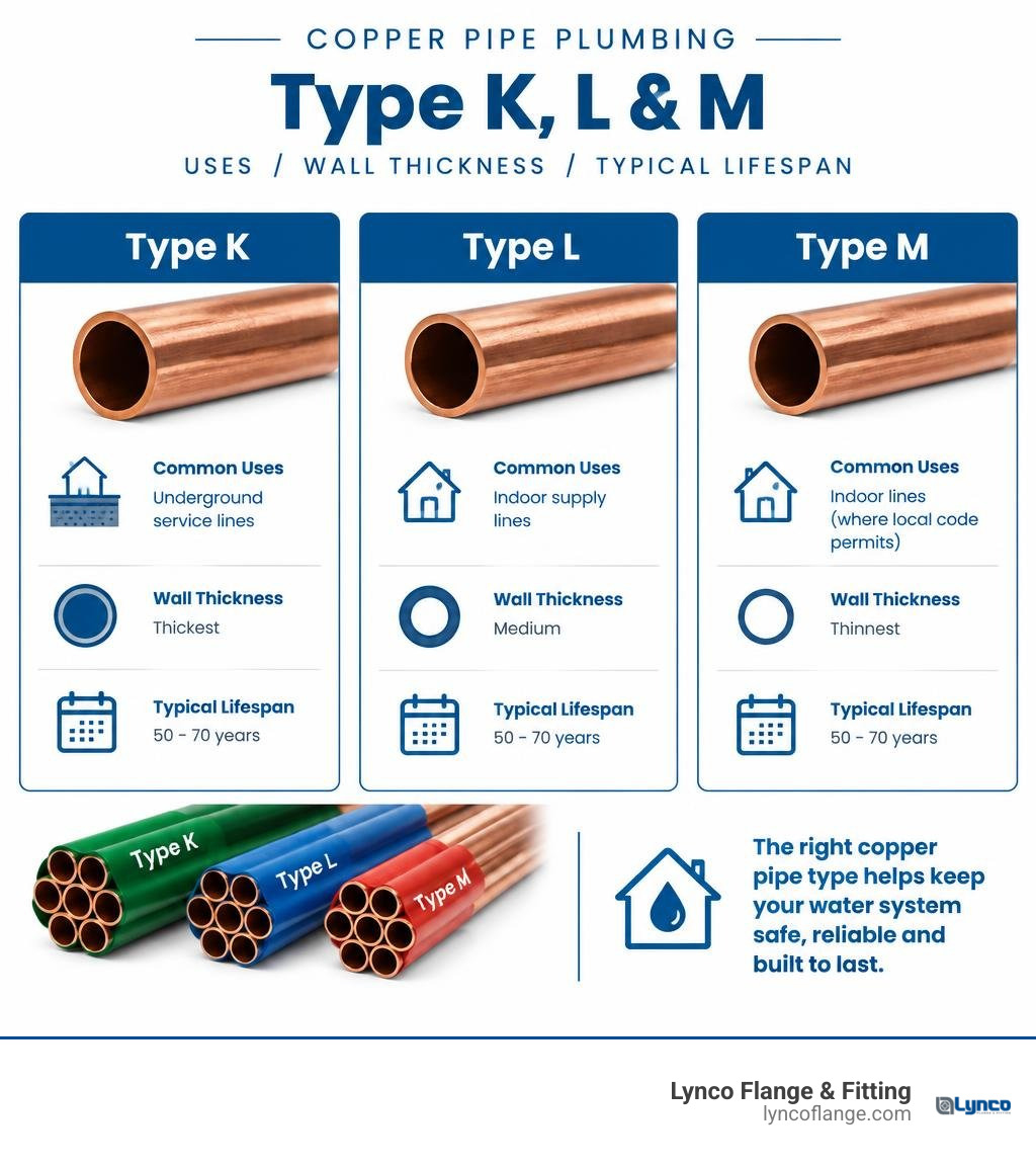 Infographic comparing Type K, L, and M copper pipe uses, wall thickness, and typical lifespan infographic Infographic comparing Type K, L, and M copper pipe uses, wall thickness, and typical lifespan infographic