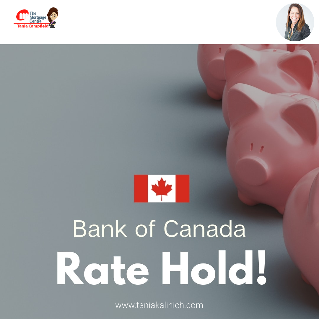 Bank Of Canada Rate Update October 25, 2023