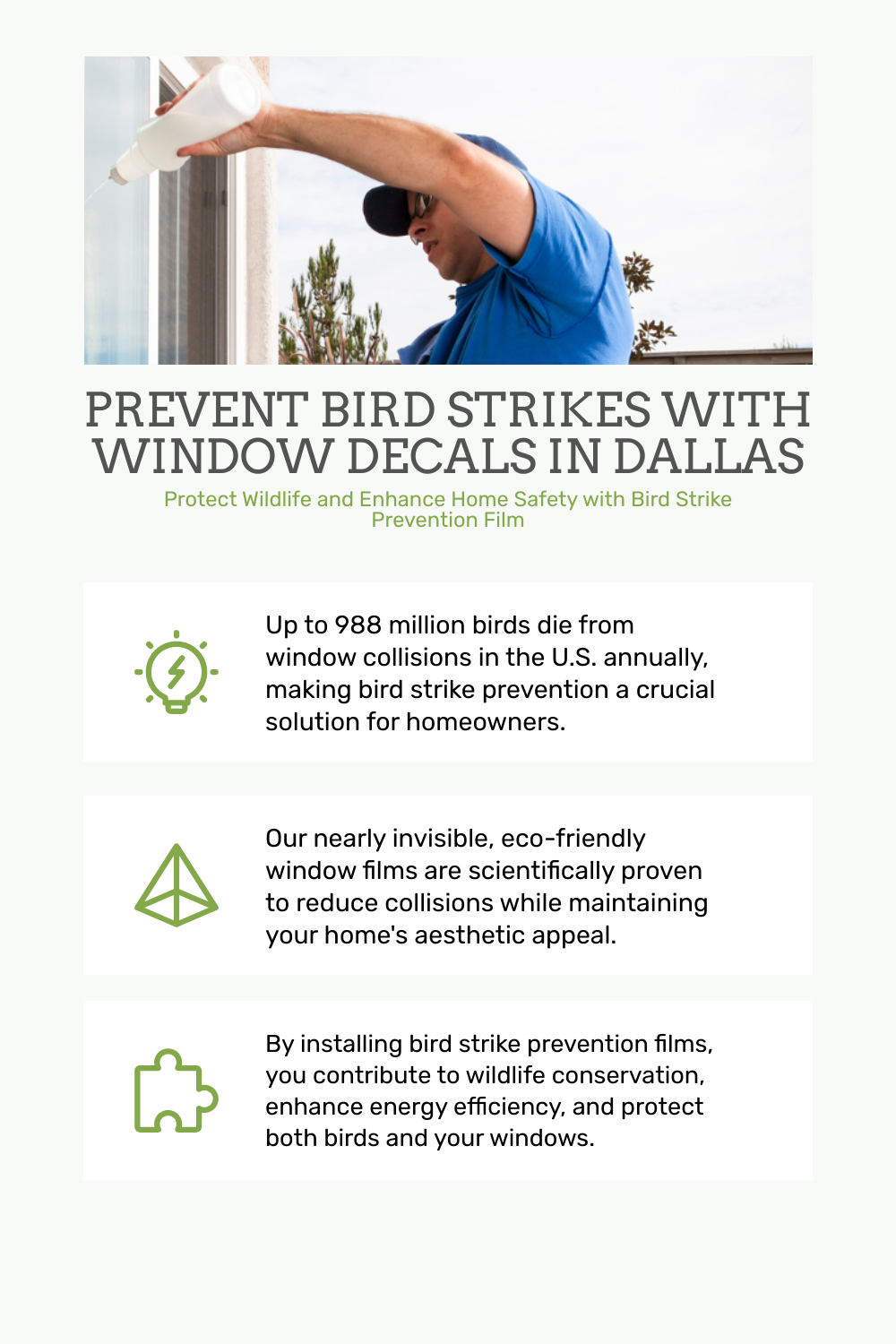 Bird Strike Prevention Film
