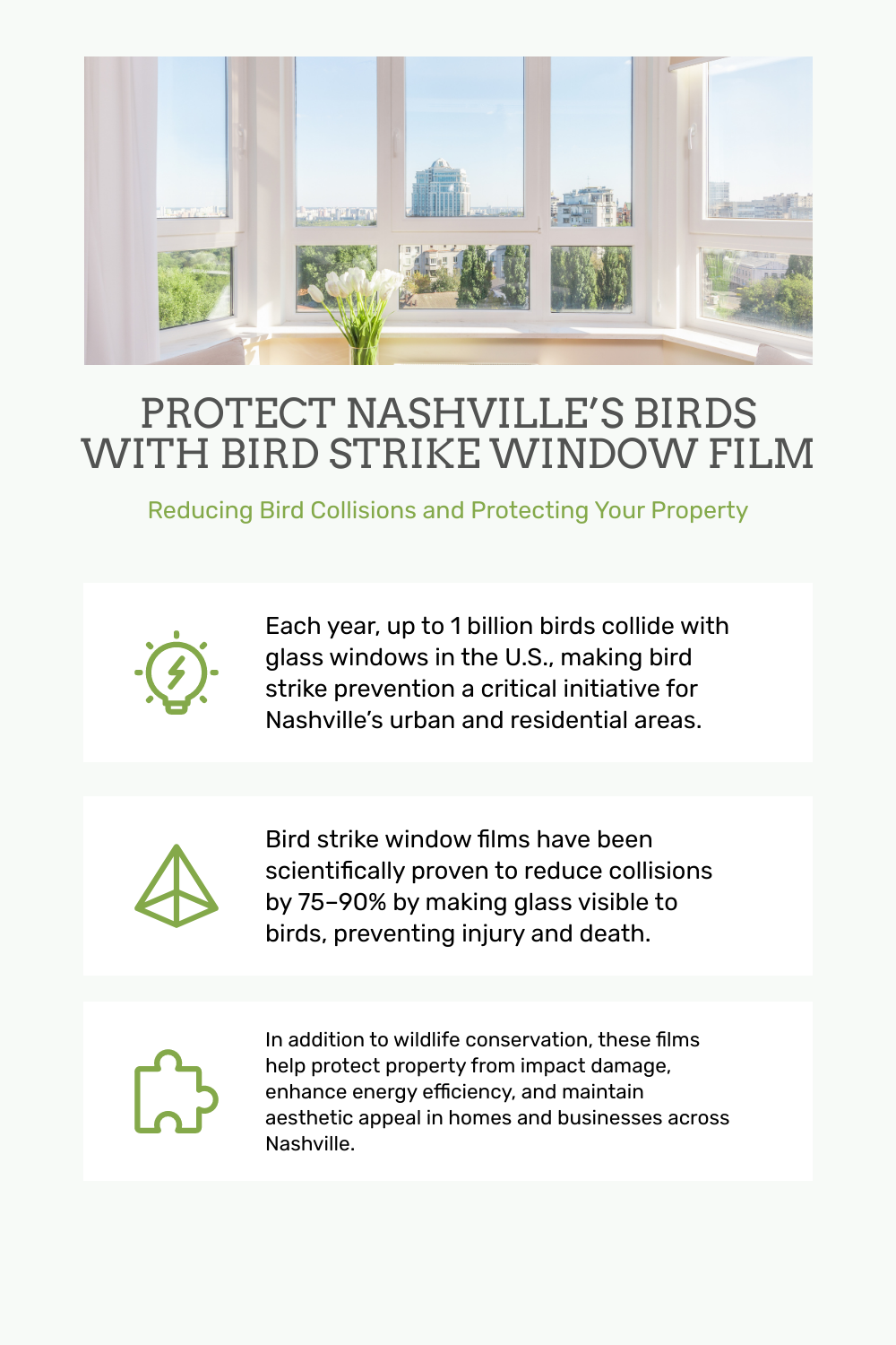 Bird Friendly Window