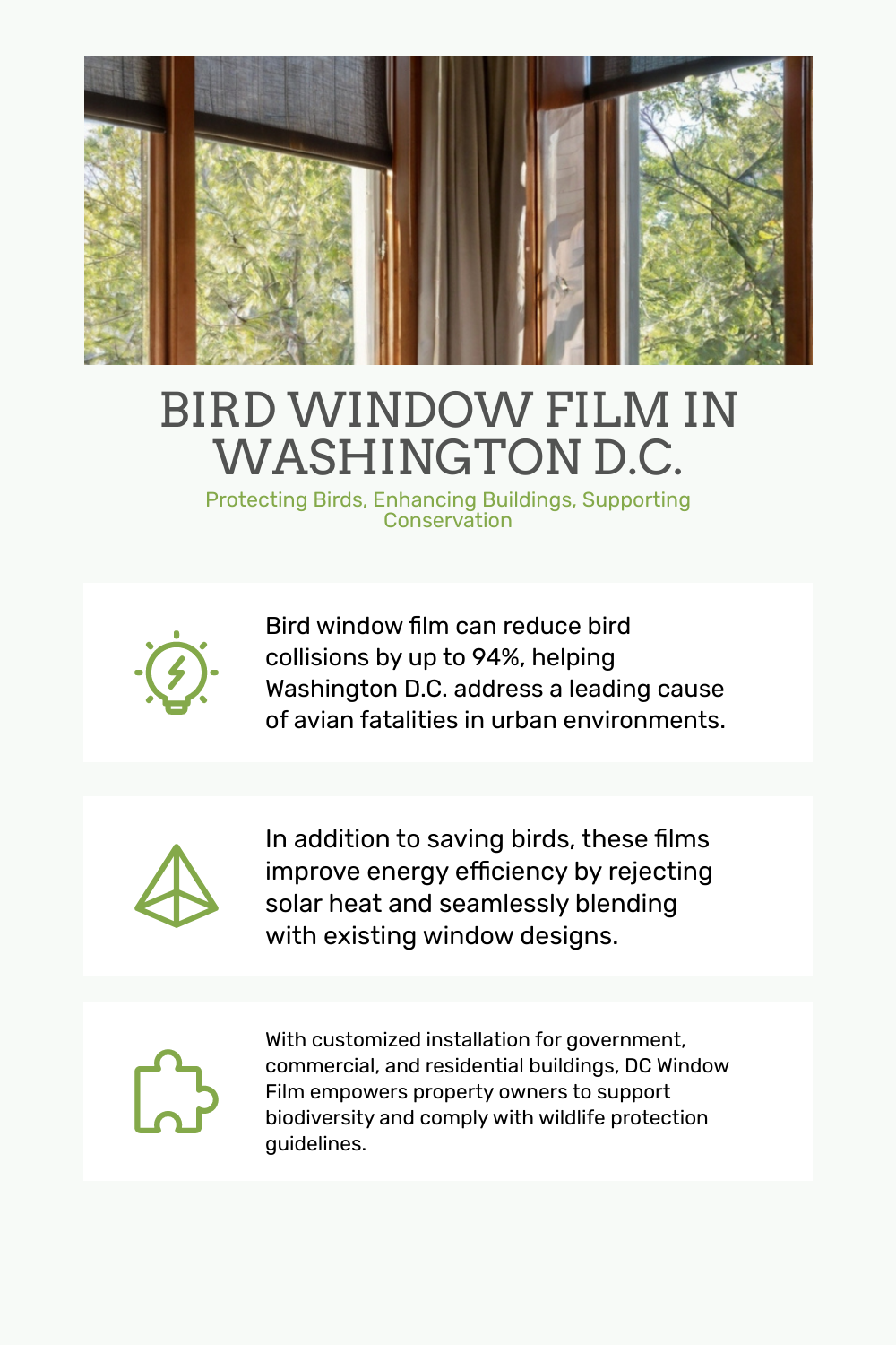 Bird Window Film