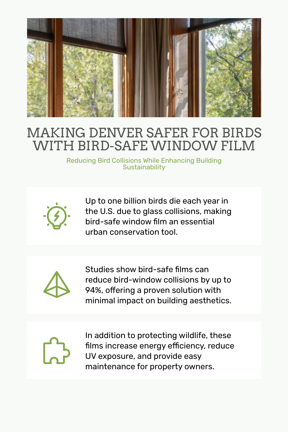 Bird-Safe Window Film