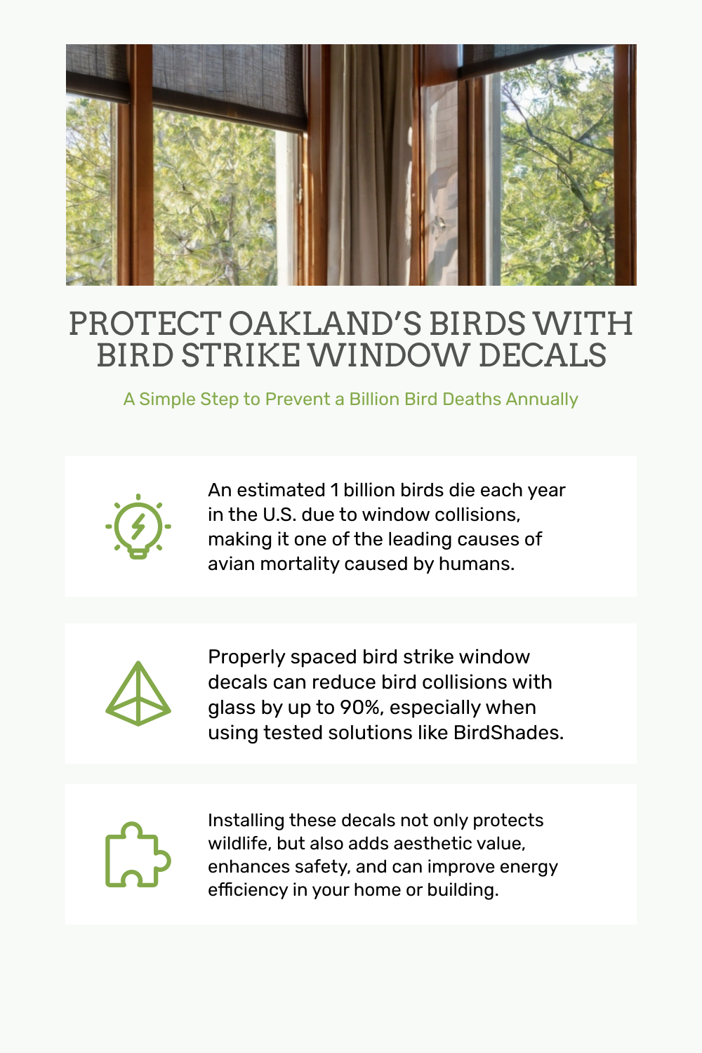 Bird Strike Window Decals