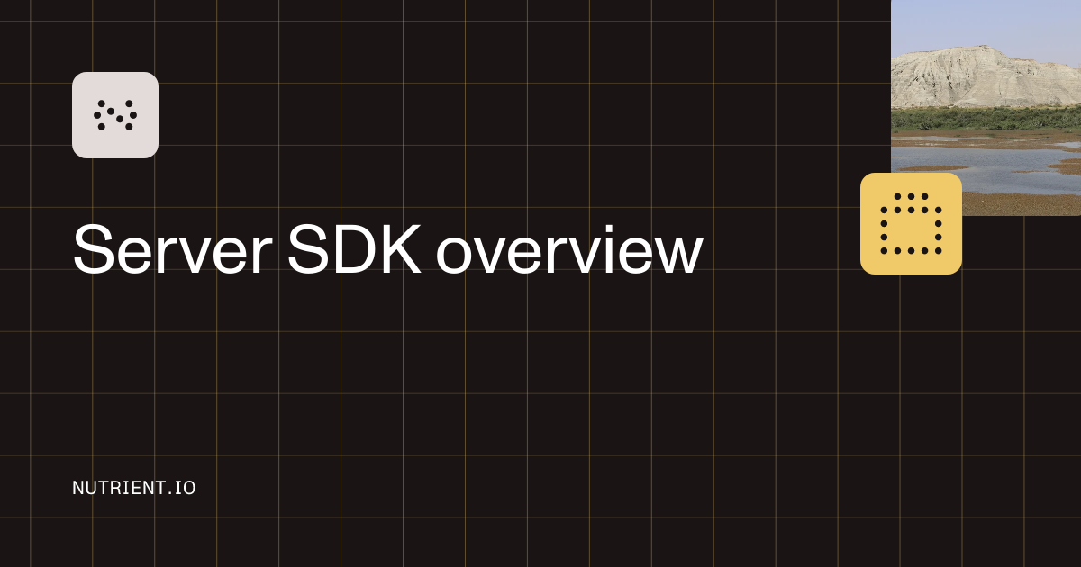 Server SDK overview