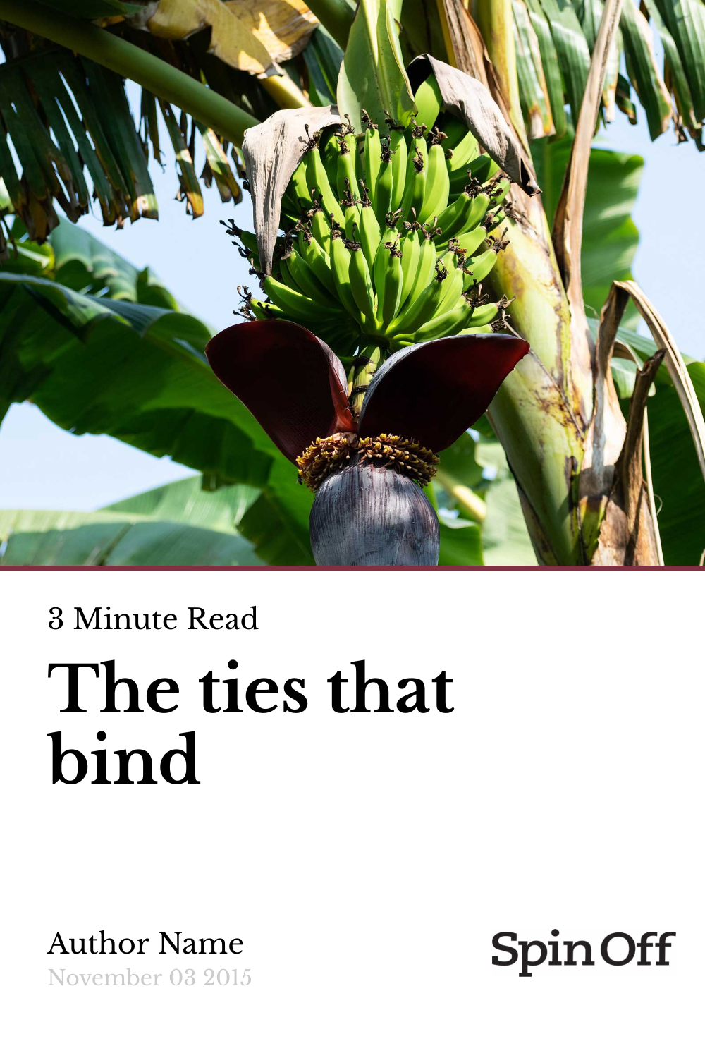 The Ties That Bind Spin Off