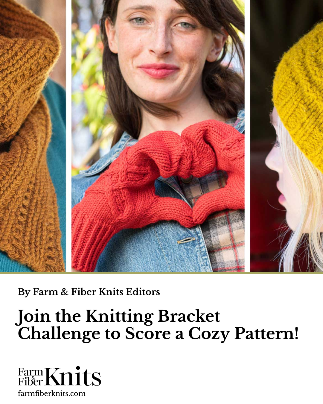 Which Pattern Won the Knitting Bracket Challenge? | Farm & Fiber Knits