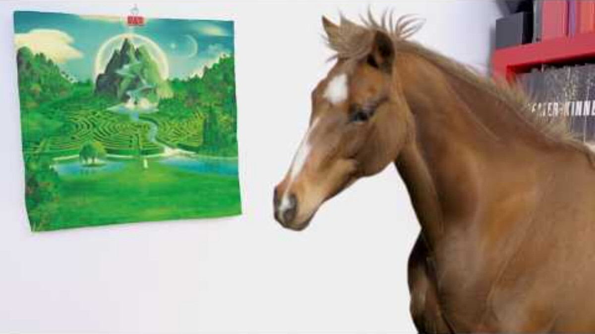 horsegiirL - NATURE IS HEALING
