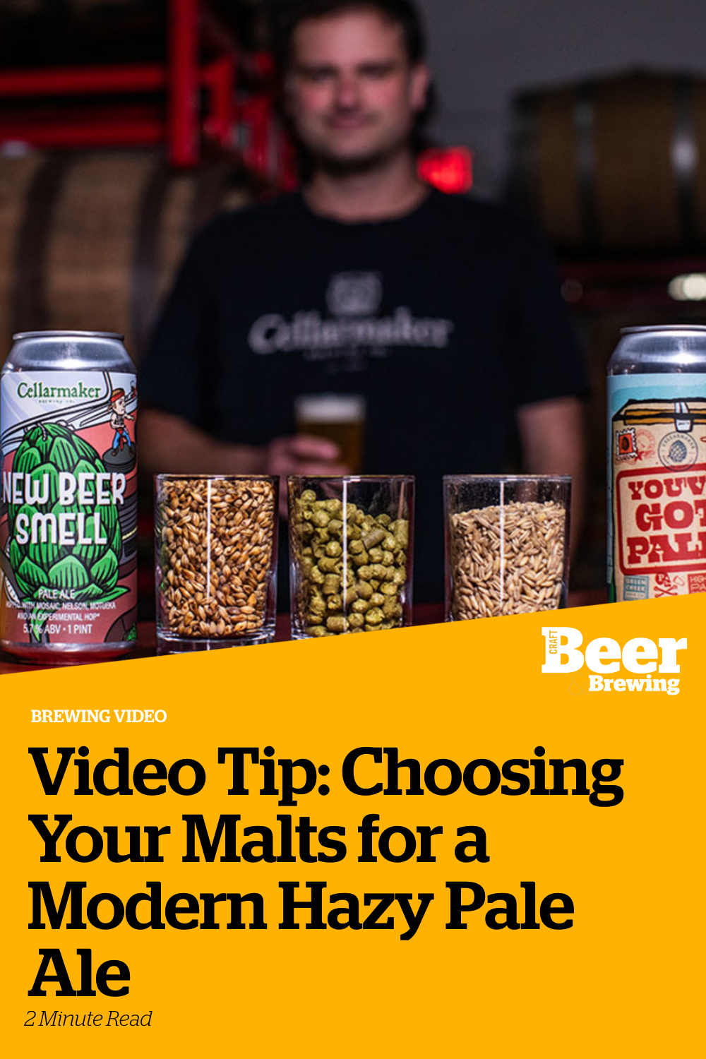 Video Tip Choosing Your Malts for a Modern Hazy Pale Ale Craft Beer