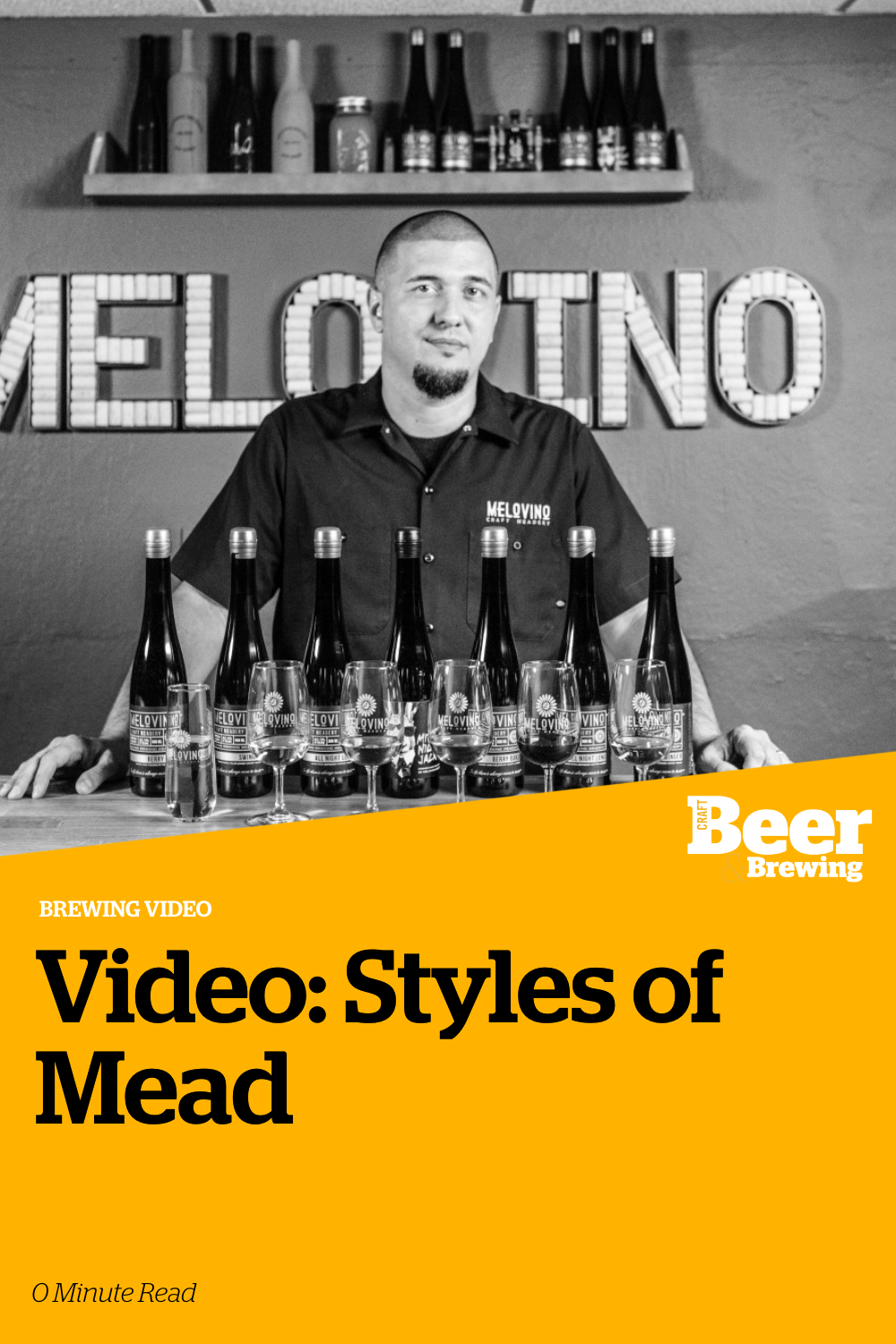 Video Styles of Mead Craft Beer & Brewing