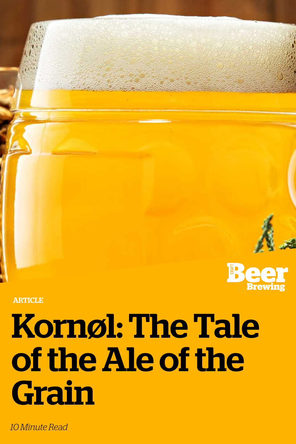 Kornøl The Tale of the Ale of the Grain Craft Beer & Brewing
