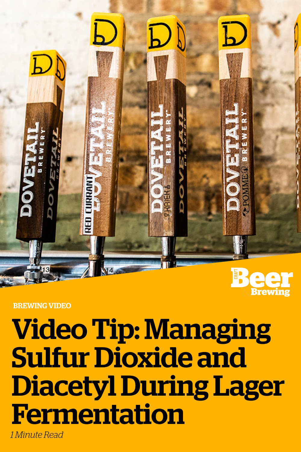 Video Tip Managing Sulfur Dioxide and Diacetyl During Lager Fermentation Craft Beer & Brewing