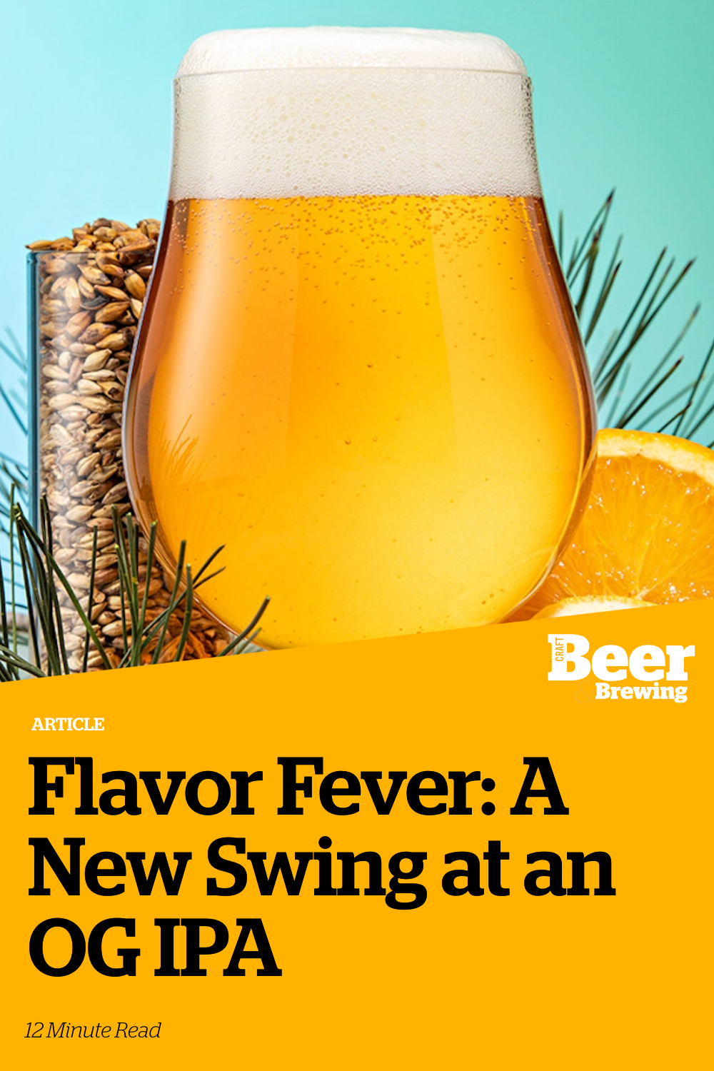 Flavor Fever A New Swing at an OG IPA Craft Beer & Brewing