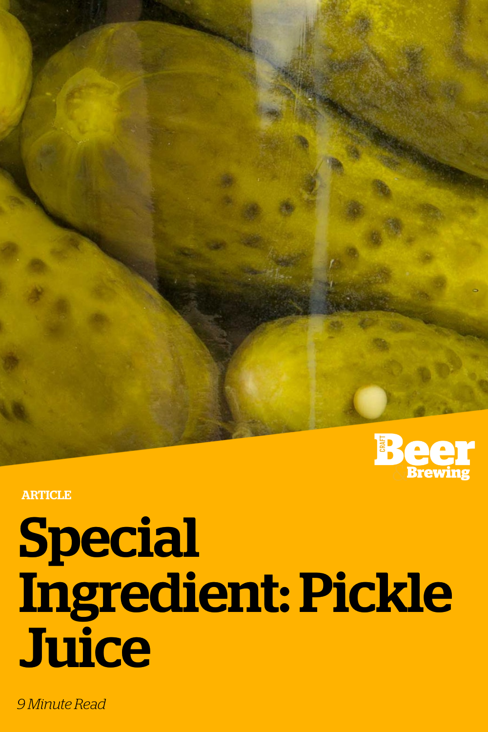 Special Ingredient Pickle Juice Craft Beer & Brewing