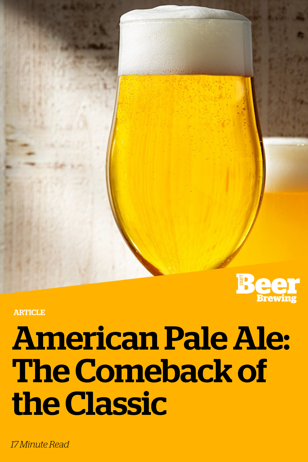 American Pale Ale The Comeback Of The Classic Craft Beer Brewing