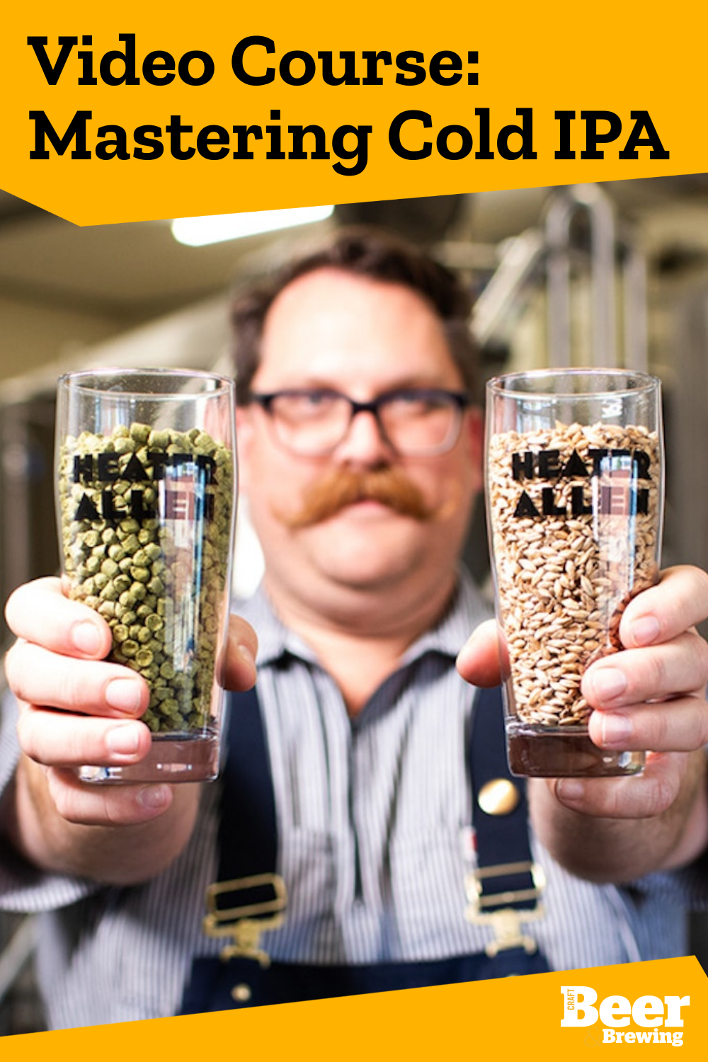 Video Course Mastering Cold IPA Craft Beer & Brewing