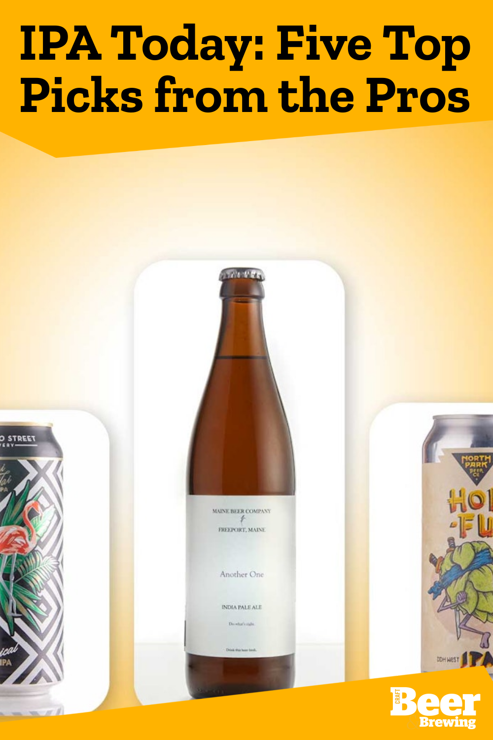 IPA Today Five Top Picks from the Pros Craft Beer & Brewing
