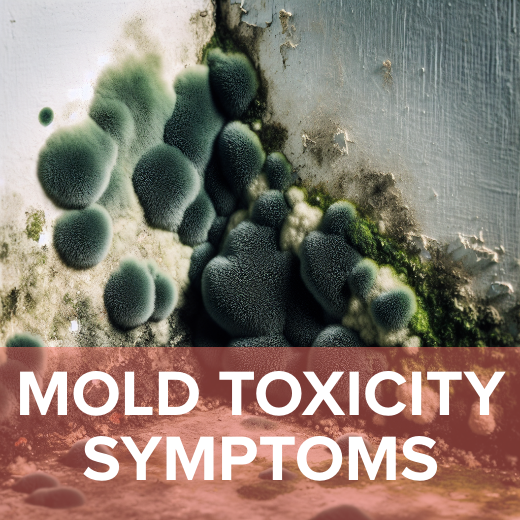 Mold Toxicity Symptoms: Signs, Causes & Treatment (2026) | Wyndly Mold Toxicity Symptoms: Signs, Causes & Treatment (2026) | Wyndly