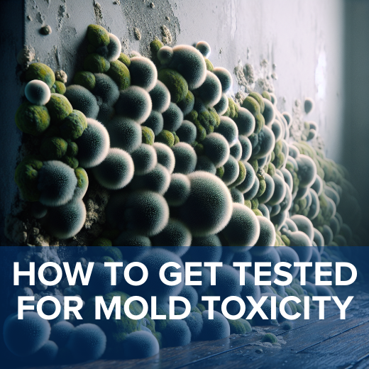 glutathione before mold test Toxin Zoomer | Mold Toxin Exposure & Mycotoxin Panel | PFAS
