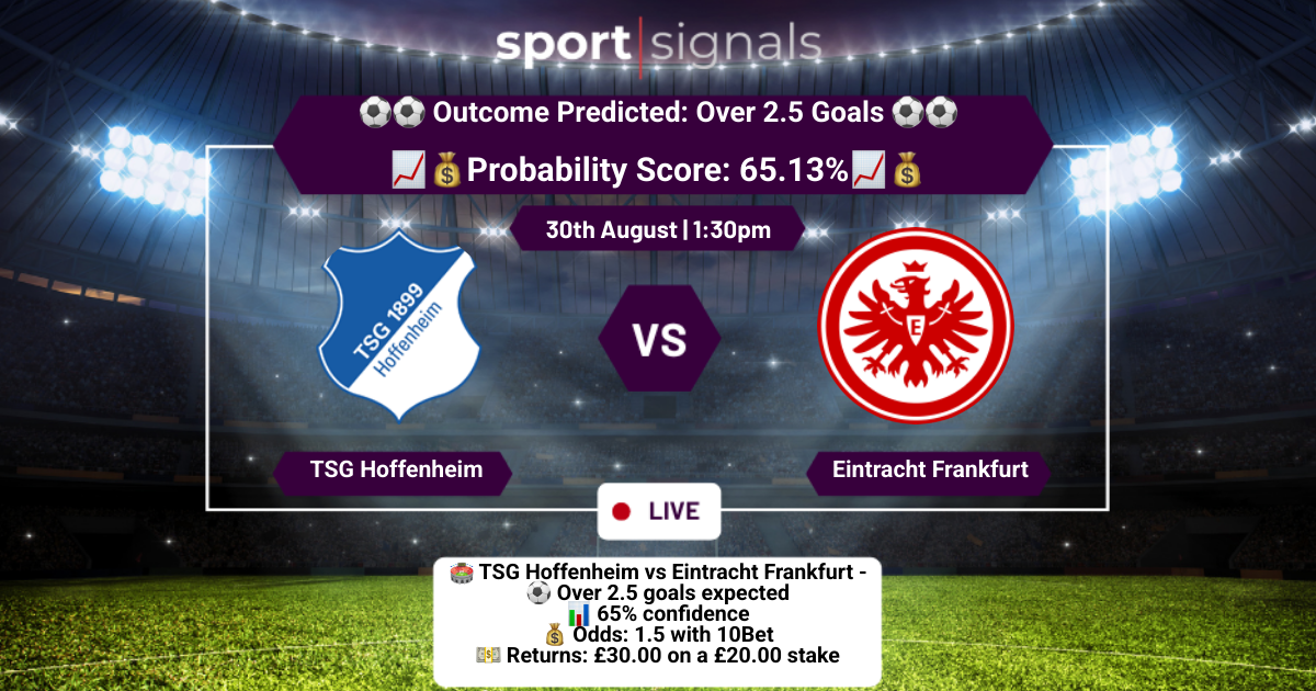 TSG Hoffenheim vs Eintracht Frankfurt
Over 2.5 Goals