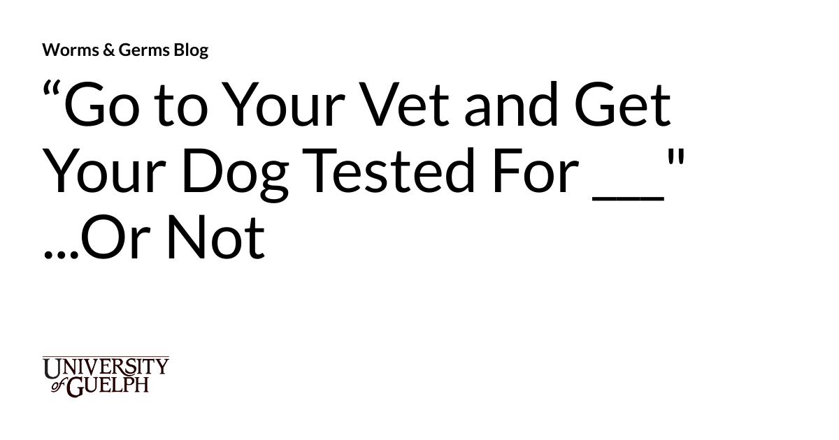 “Go to Your Vet and Get Your Dog Tested For ___"Or Not Worms