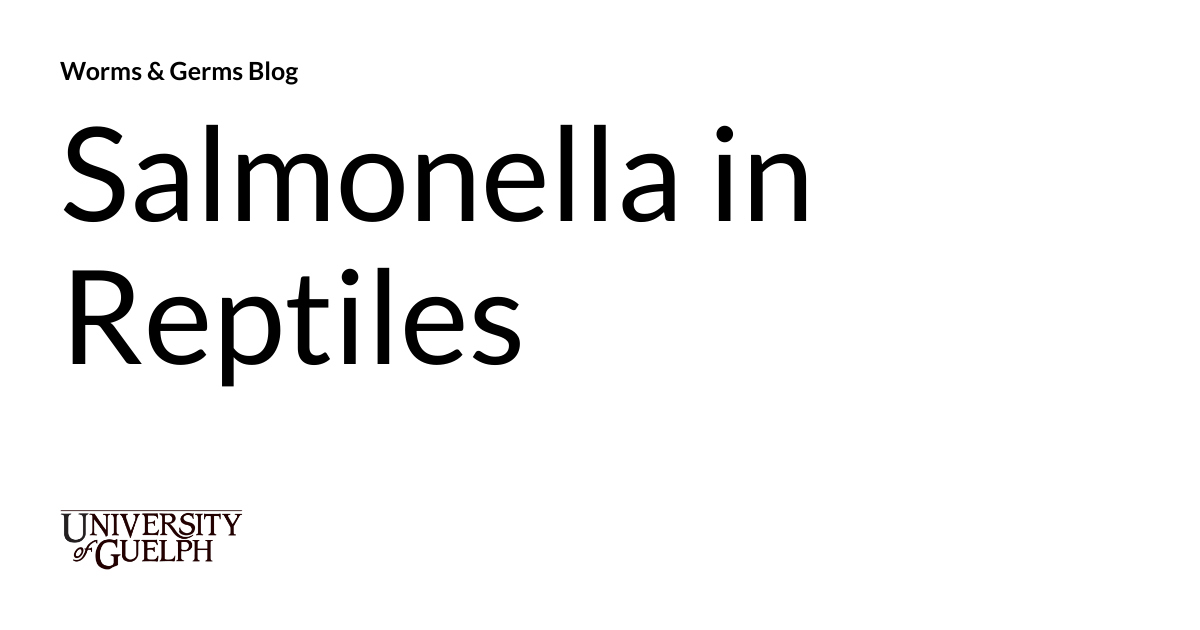 Salmonella in Reptiles Worms & Germs Blog