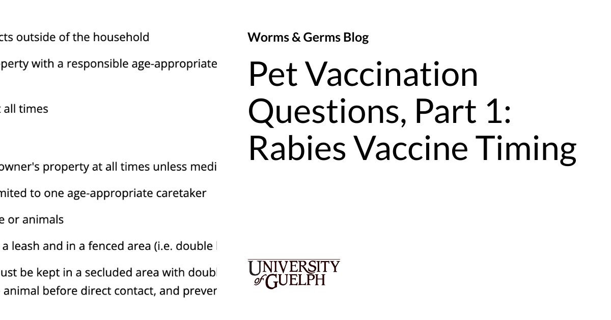Pet Vaccination Questions, Part 1: Rabies Vaccine Timing | Worms ...