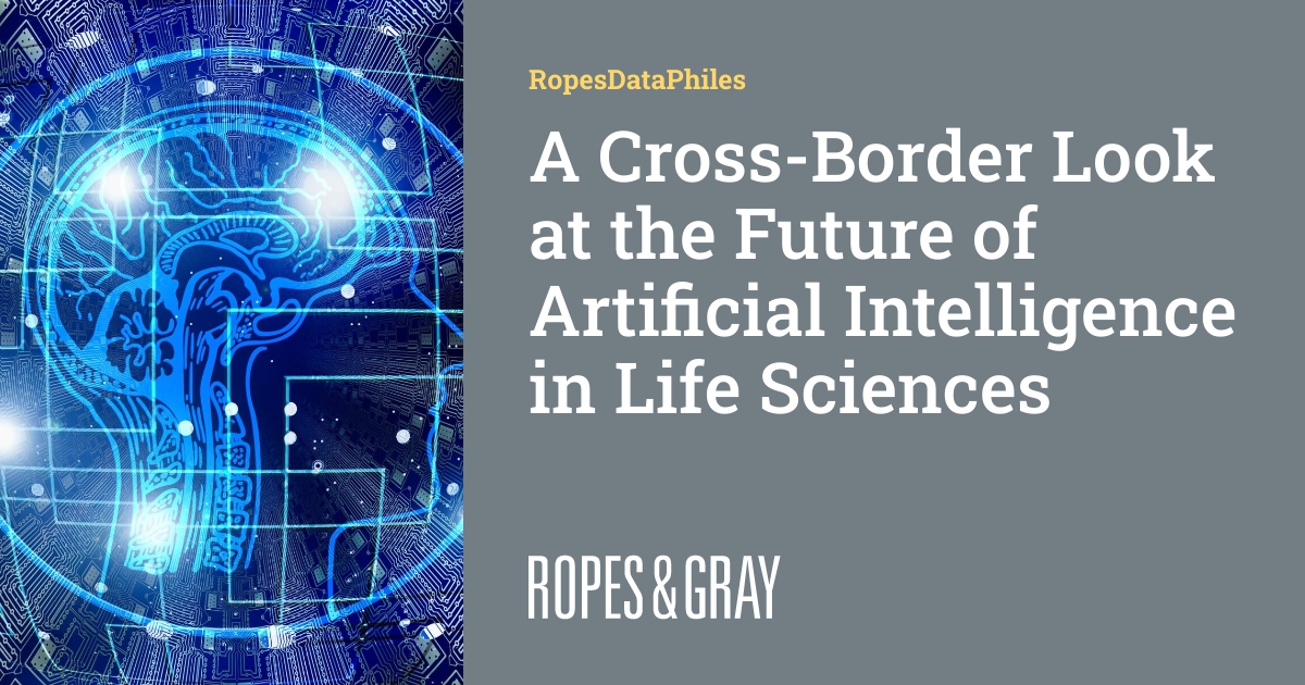 A Cross-Border Look at the Future of Artificial Intelligence in Life ...