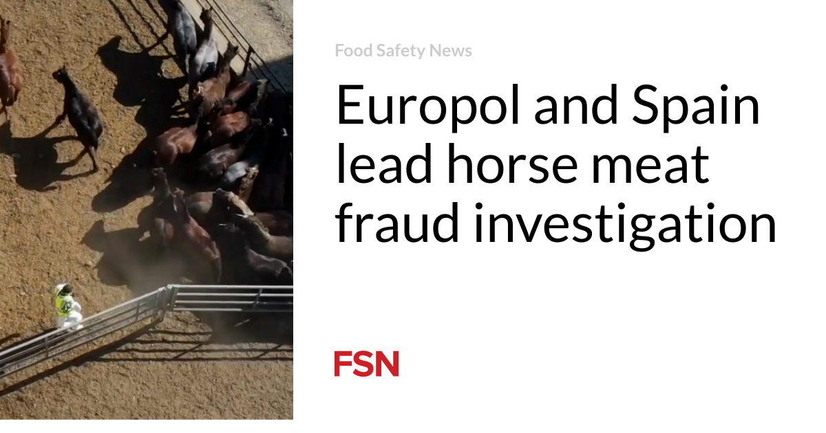 Europol y España lideran investigación por fraude con carne de caballo