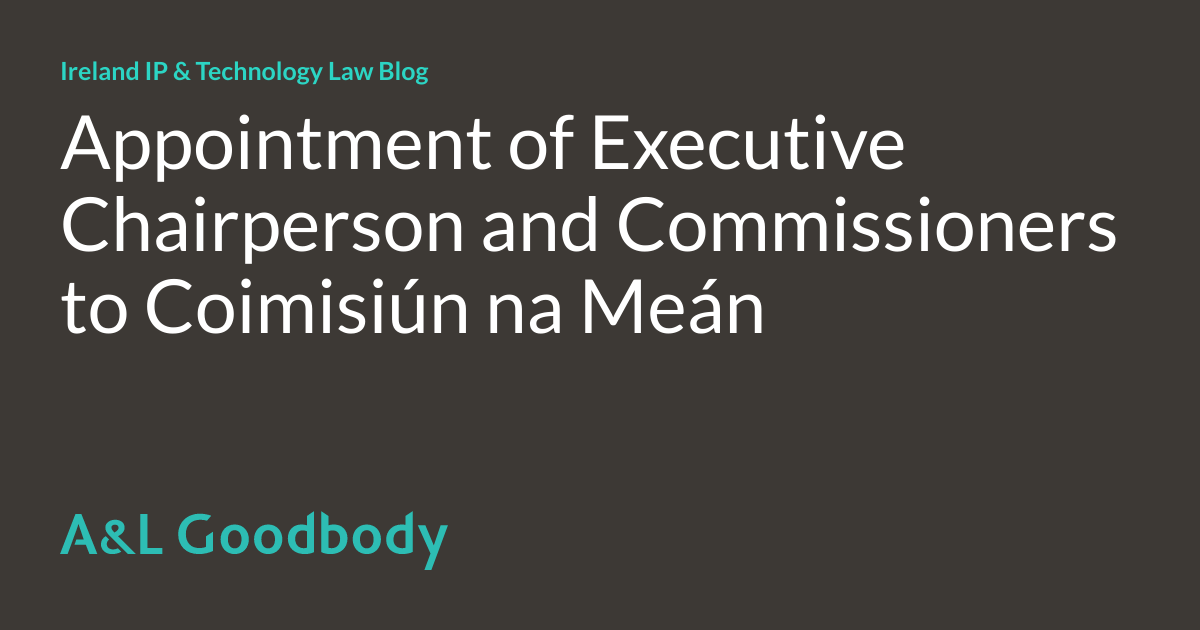 Appointment of Executive Chairperson and Commissioners to Coimisiún na