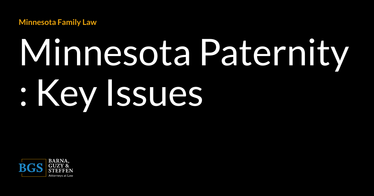 Minnesota Paternity Key Issues Brown Law Offices