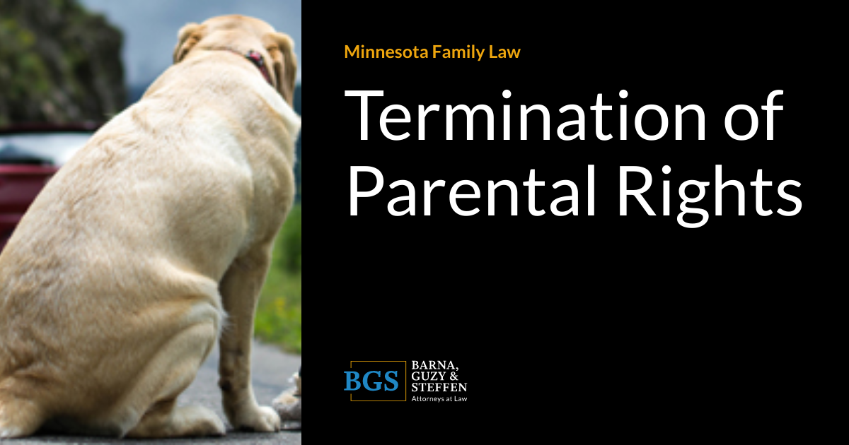 Termination of Parental Rights Minnesota Family Law Blog