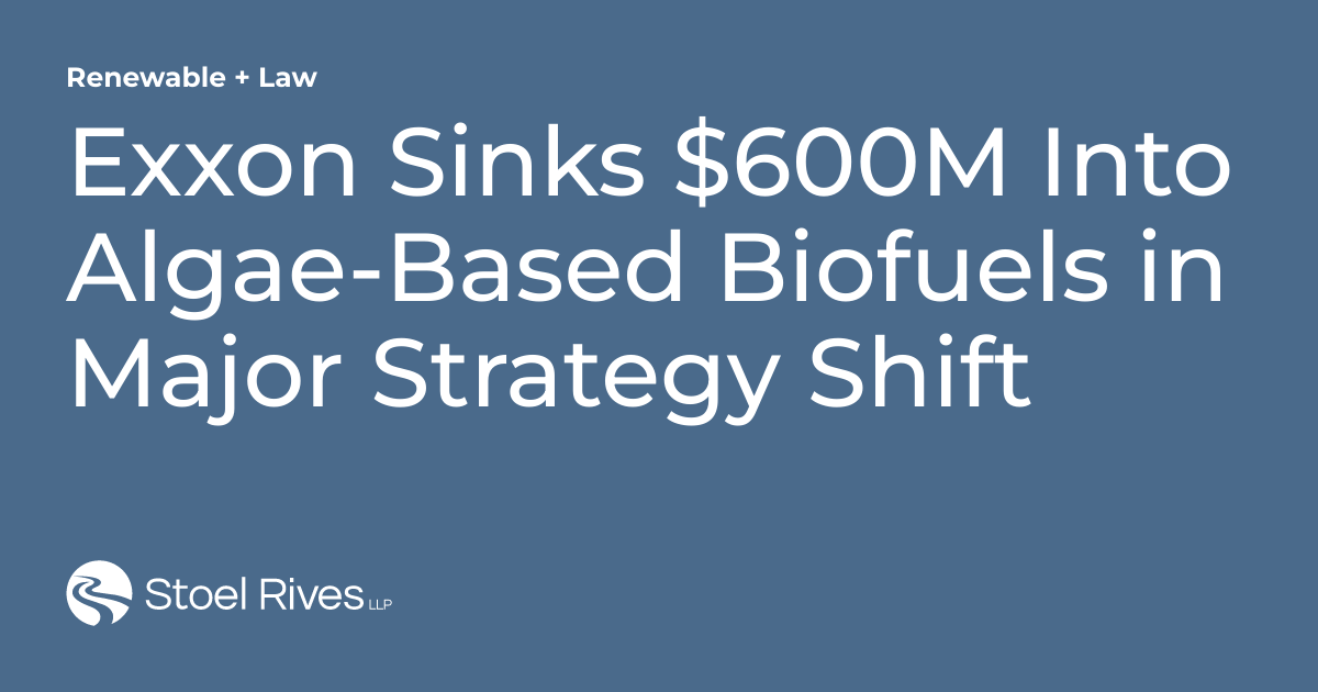 Exxon Sinks 600M Into AlgaeBased Biofuels in Major Strategy Shift