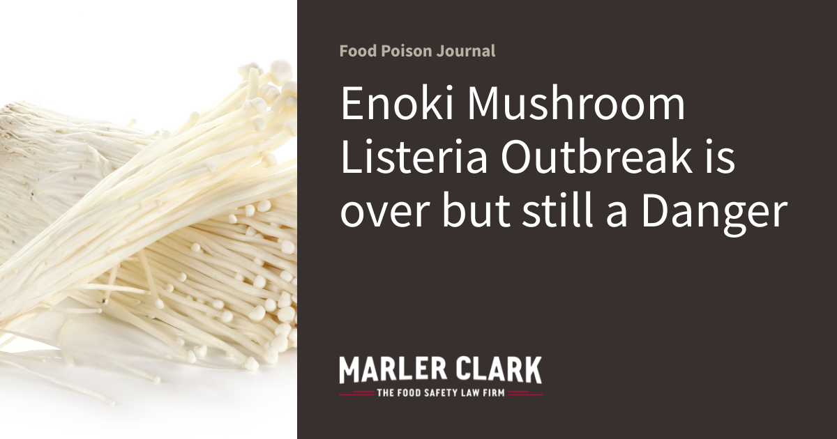 Enoki Mushroom Listeria Outbreak is over but still a Danger Food