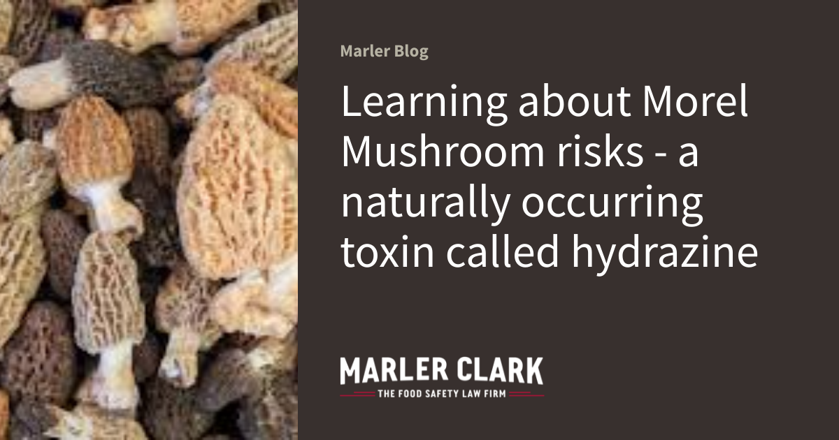 Learning about Morel Mushroom risks a naturally occurring toxin called hydrazine Marler Blog