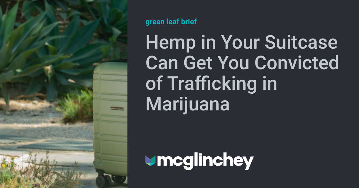 Hemp in Your Suitcase Can Get You Convicted of Trafficking in Marijuana
