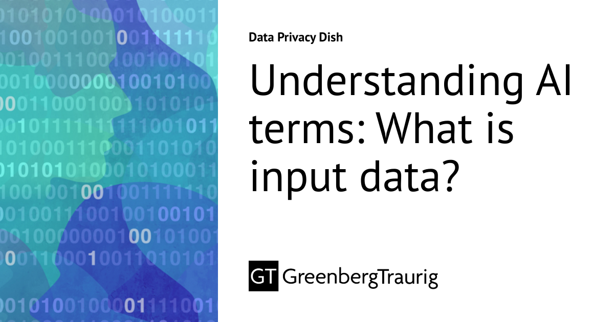 Understanding AI terms: What is input data? | Data Privacy Dish